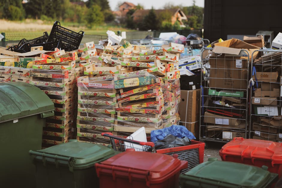 A large outdoor area shows a significant accumulation of waste, primarily consisting of stacked boxes of fresh fruit and vegetable produce, identifiable by their colorful packaging and printed labels. The boxes, made of cardboard and featuring a glossy finish, are arranged in multiple piles, some leaning slightly, with visible stacking patterns on a paved surface. Surrounding the produce boxes are various black plastic crates, some stacked on top of each other, along with cardboard boxes and other packaging materials. To the right, metal wire cages are filled with assorted cardboard boxes and packaging, some partially open revealing contents within, while others are sealed with packing tape. In the foreground, several closed wheelie bins with green and red lids are positioned on the pavement, with some partially overlapping. The background includes a glimpse of a garden or outdoor landscape, with trees, grass, and distant houses, illuminated by natural daylight which provides clear visibility of all objects. The scene suggests a private waste clearance operation by Waste Clearance Catford, involving the collection of mixed waste items typical of bulk rubbish removal or alternative waste handling services, captured in a professional and factual manner.